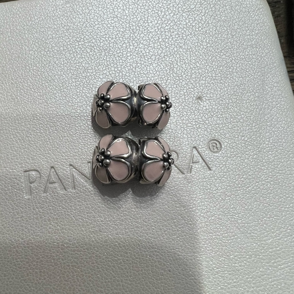 Pandora Clips - Picture 5 of 5